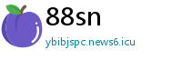 88sn